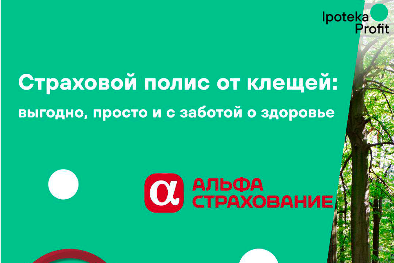 Страховой полис от клещей: выгодно, просто и с заботой о здоровье